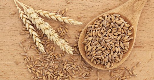 farro-benefici e proprieta-dietista benacchio